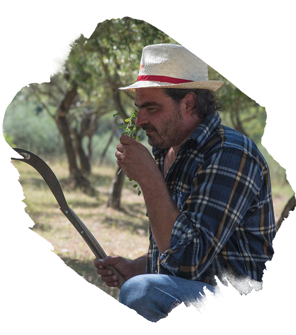 Liquori Toro