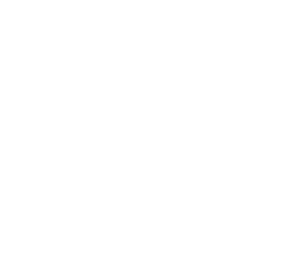 Logo Liquori Toro